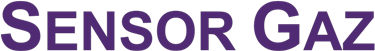 Sensor Gaz